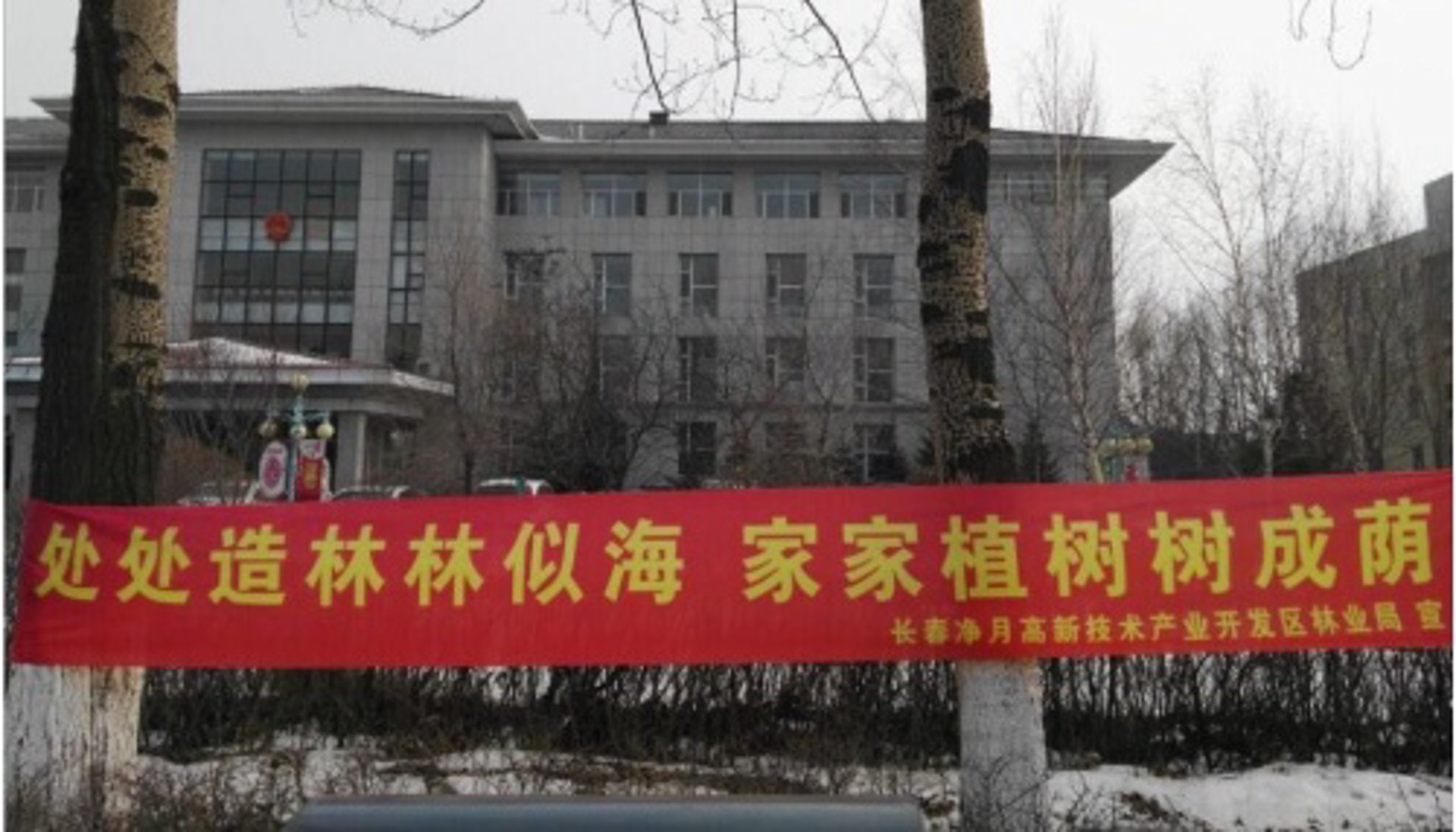 内蒙古园林绿化工程：打造生态宜居的草原城市新名片